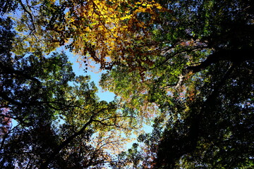 가을 공원 정원