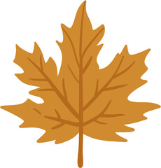 Golden Yellow Maple Leaf Illustration. Simple Isolated Fall Foliage Element with Prominent Venation.