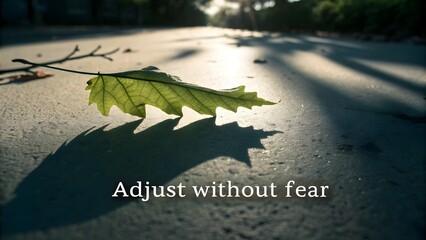 A Green Oak Leaf with Dramatic Shadow and Motivational Quote