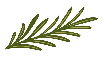 Rosemary branch. Vector isolated illustration