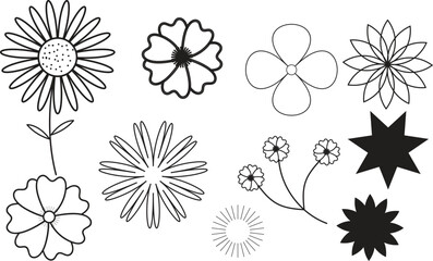 Collection of hand drawn floral elements and star shapes