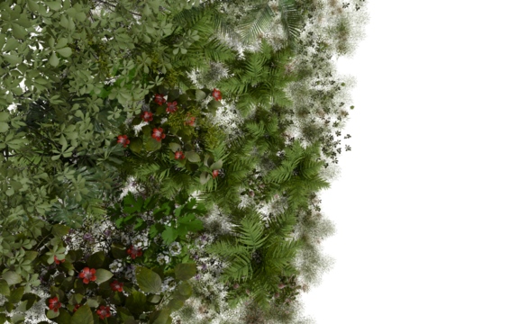 Lush, dense green vertical garden with diverse foliage like ferns and broad leaves. Vibrant red and white flowers accent the natural growth isolated transparent background