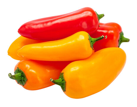 Set of Red and Orange Mini Sweet Peppers, isolated on transparent background.