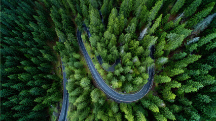 Drone view of winding mountain road through a dense forest