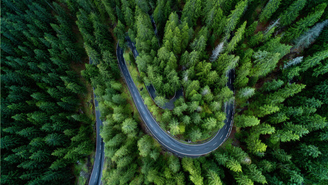 Drone view of winding mountain road through a dense forest