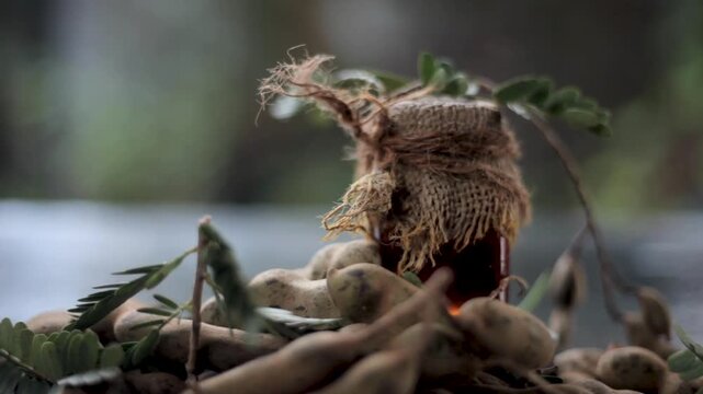 Rustic Ayurvedic Tamarindus indica Skin Oil and Extract in Gunny-Wrapped Bottle &ndash; Natural Herbal Treatment for Acne, Dark Spots, Pores, and Glowing Skin Stock Footage
