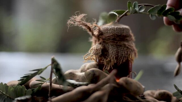 Rustic Ayurvedic Tamarindus indica Skin Oil and Extract in Gunny-Wrapped Bottle &ndash; Natural Herbal Treatment for Acne, Dark Spots, Pores, and Glowing Skin Stock Footage
