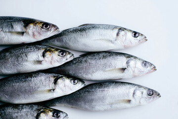 Fototapeta premium Fresh whole fish arranged in neat rows on a clean white surface for seafood presentation