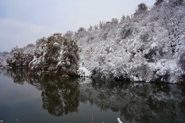 Fototapeta premium Soldier Lake after the first snow. A lake in a mountainous area with a variety of vegetation. November.
