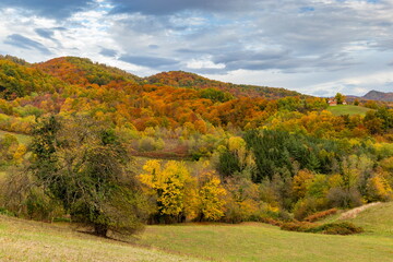 Colorful autumn mountain scenery with forests and fields in bright fall tones