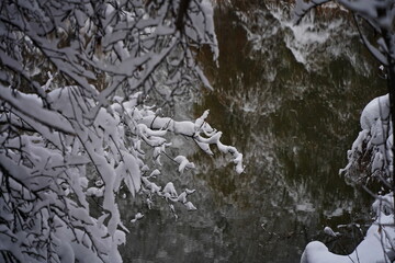 Soldier Lake. The branches of the trees are covered with the first snow. A lake in a mountainous area with a variety of vegetation. November.