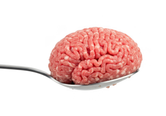 Raw ground meat shaped like a brain on a spoon isolated on transparent background