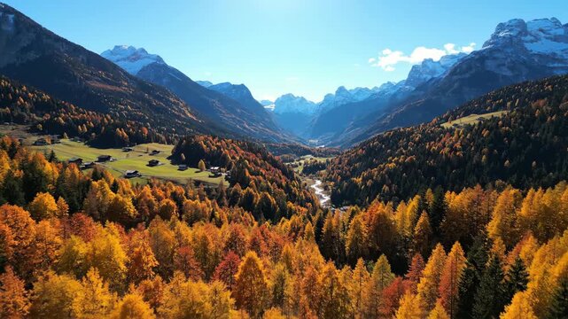 Aerial view of a mountain landscape with trees changing color in autumn, river