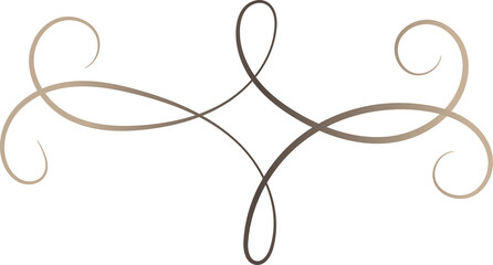 Simple Calligraphy Ornament Elegant Line Flourish Vector