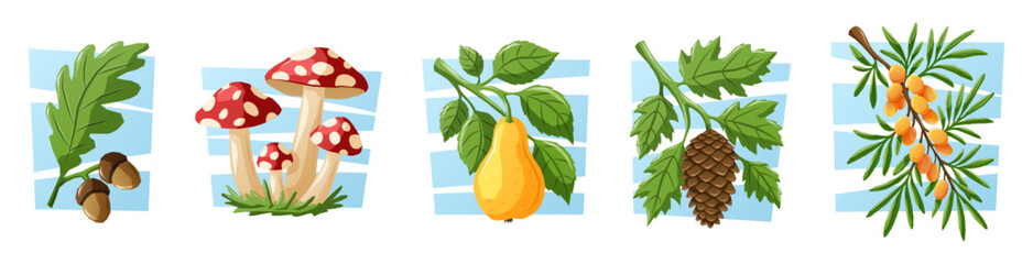 A cozy autumn collection of oak leaf with acorns, mushrooms, pear, fir cone, and sea buckthorn. A autumn themed vector cartoon illustration set.