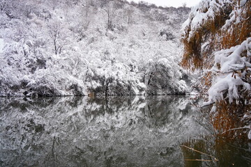 Soldier Lake. The branches of the trees are covered with the first snow. A lake in a mountainous area with a variety of vegetation. November.