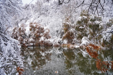 Soldier Lake. The branches of the trees are covered with the first snow. A lake in a mountainous area with a variety of vegetation. November.
