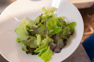 Bowl filled with vibrant green and red leaves awaiting culinary preparation