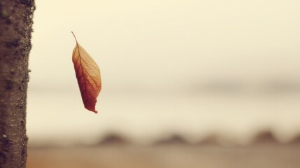 A single leaf being carried by strong winds against an overcast sky, isolated and atmospheric. ESG reports, sustainability campaigns, designed for environmental awareness campaigns.