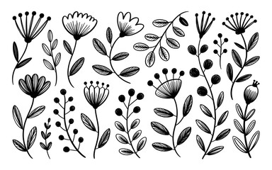 Hand Drawn Botanical Elements Black and White floral