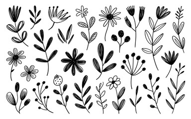 Black and White Hand- Drawn Botanical Line Art flowers