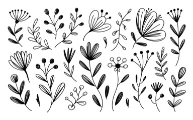 Black and White Sketchy Botanical Elements Collection