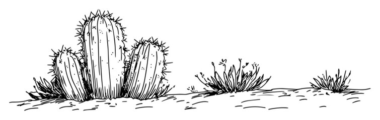 cactus plant desert scene vector sketch fine lines in ink engraving style © Kaz