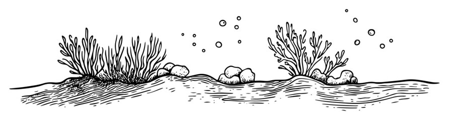 ocean bottom coral scene hand drawn doodle sketch vector black shape © Kaz
