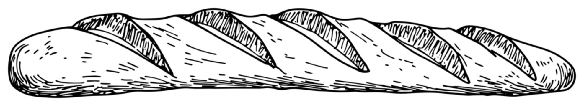 french bread baguette illustration hand drawn doodle sketch vector black shape