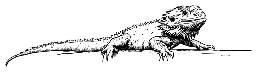 bearded dragon lizard hand drawn doodle sketch vector laser engraving