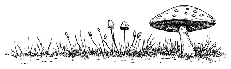 grass and mushrooms forest floor sketch