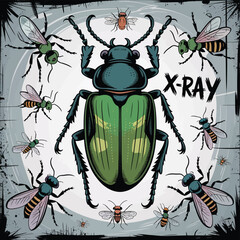 Vector illustration of a green beetle insect bug closeup on white background