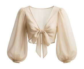 Sheer crop top with balloon sleeves and a bow tie front.