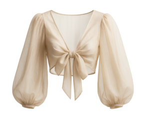 Sheer crop top with balloon sleeves and a bow tie front.