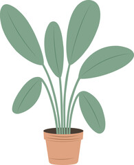 Illustration of a potted plant with large leaves isolated on