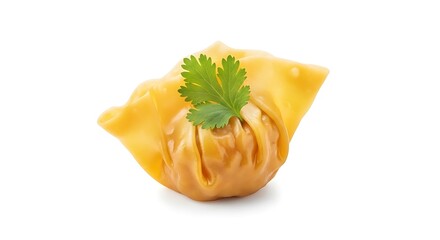 Delicious Golden Wonton with Fresh Green Coriander Garnish