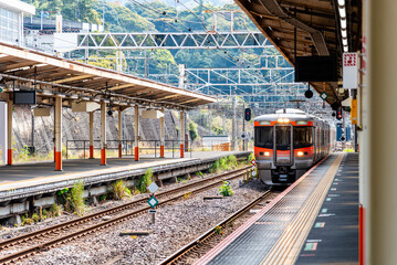 Obraz premium Japanese passenger train arriving at a scenic suburban or rural station platform on a sunny day, showcasing modern railway infrastructure.