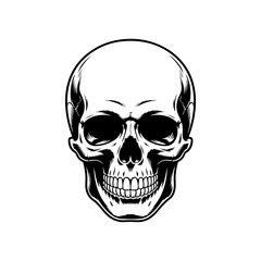 A detailed black and white vector illustration of a human skull, viewed straight-on. The artwork features high contrast shading in an engraving or tattoo style, isolated on white.