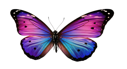 Vibrant Butterfly With Purple Blue Wings Isolated On Transparent Background With Detailed Textures