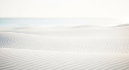 Rippled White Sand Dunes with Ocean Horizon texture