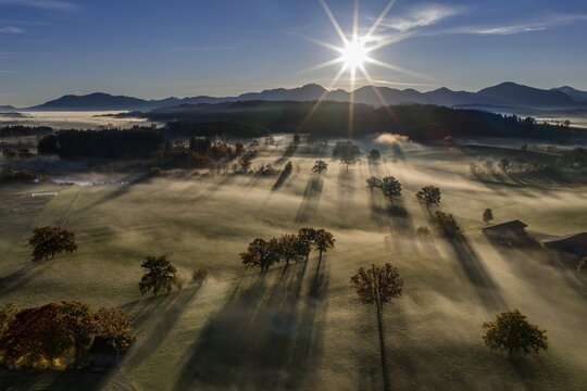 Trees, oaks, sunlight, back light, sunny, morning light, autumn, autumn discoloration, fog, aerial view, view of Kochler Mountains, foothills of the Alps, Upper Bavaria, Bavaria, Germany