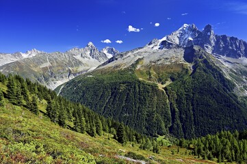 From Left Aiguille Chardonnet Front