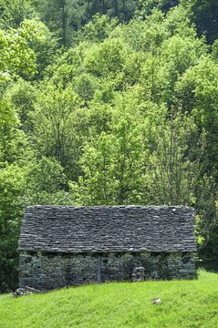 Rocks and Gums, Lavertezzo, Verzasca Valley in the Canton of Tessin, Switzerland