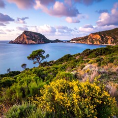 Scenic coastal landscape at dawn