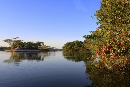 Sky and trees reflecting in the Juruena river, Alta Floresta, Amazon, Brazil