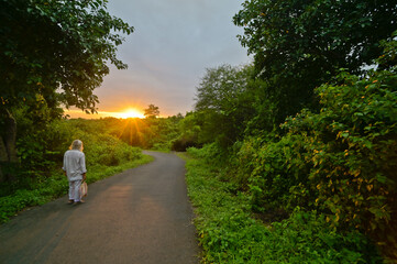 Walk through the forest at sunset, India.