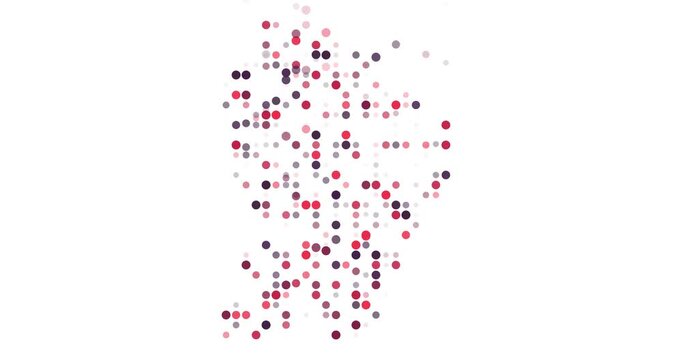 Dynamic Circle Flow French Guiana Map Assembly