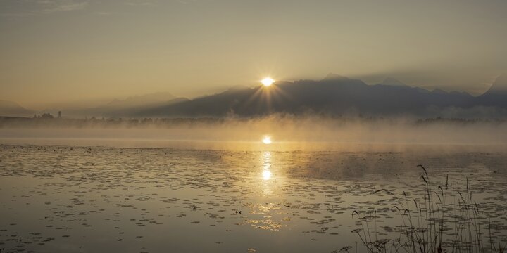 Sunrise at Lake Hopfensee near F&uuml;ssen, behind Hopfen am See, the Tegelberg massif and the S&auml;uling, Ostallg&auml;u, Allg&auml;u, Upper Swabia, Swabia, Bavaria, Germany