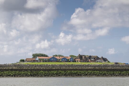 Hallig Hooge, Backenswarft, North Frisia, Schleswig-Holstein, Germany