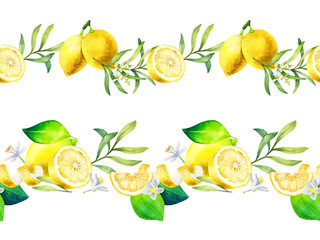 Watercolor set of lemon borders with olive branches and flowers isolated on a white background.